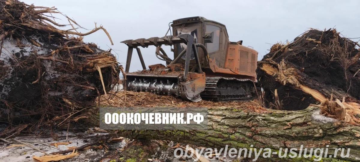 Расчистка участков от 1 га под ключ - Владивосток